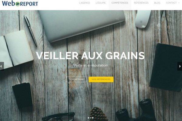 Web Report